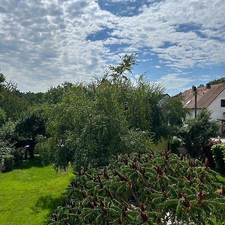 Ferienwohnung Zur Roni Treuchtlingen Eksteriør billede
