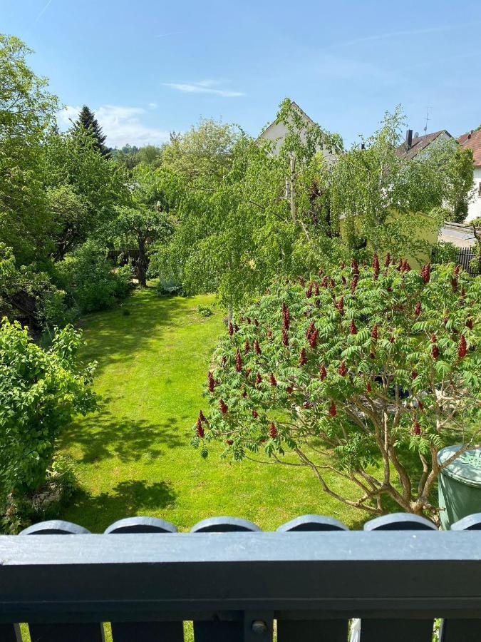 Ferienwohnung Zur Roni Treuchtlingen Eksteriør billede